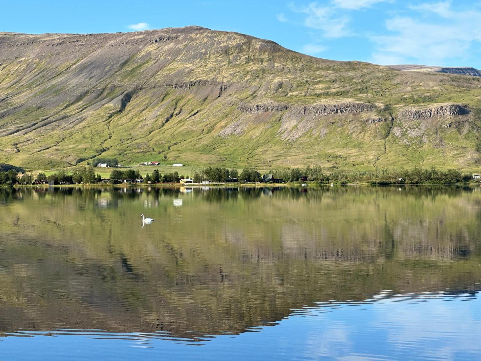 Cosy Lakeview Cabin 45 Minutes From Reykjavik Mosfellsbaer Kültér fotó
